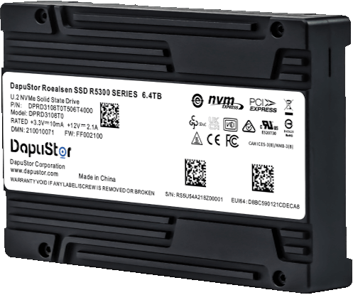 Dapustor Roealsen NVMe SSD R5100 top45