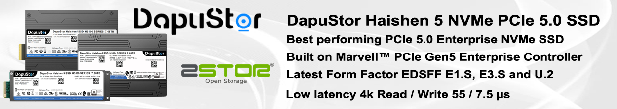 DapuStor Haishen5 NVMe SSD PCIe 5.0